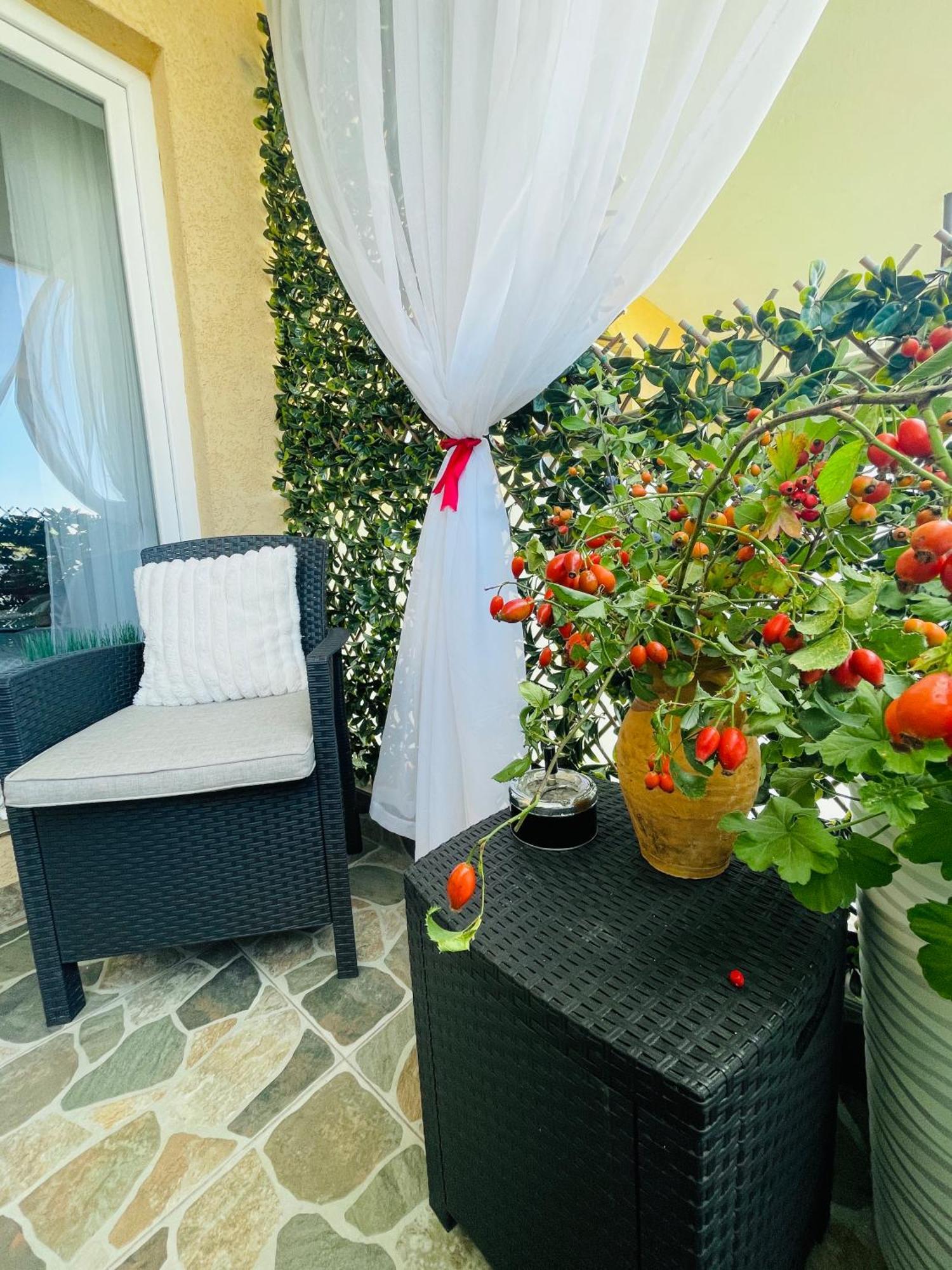 Appartement Aici Te Simti Ca Acasa à Iasi Extérieur photo